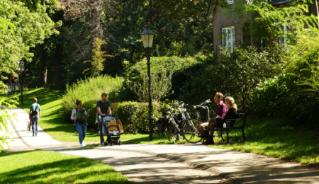 Koppel loopt met buggy door groene omgeving