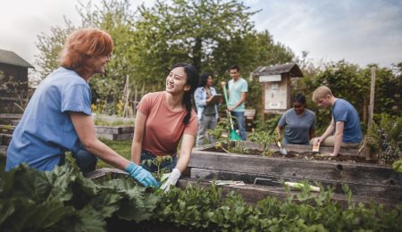 Vrouwen en mannen werken in een gemeenschappelijke tuin