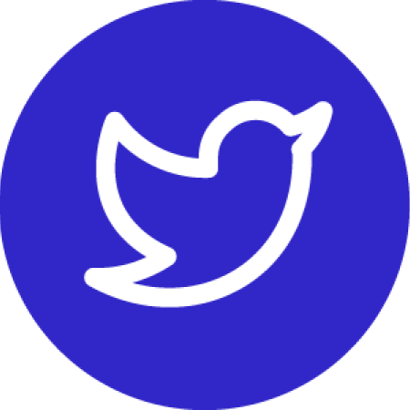 De Nederlandseggz RGB twitter blauw