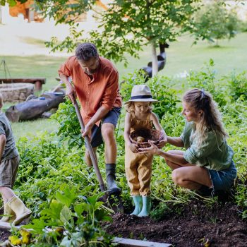 Mensen werken in moestuin
