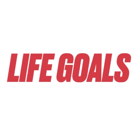 Stichtinglifegoals